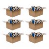 6 Boxes